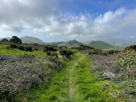 Biscoito de Goma Nordestino