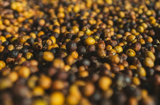 Feijão Tropeiro Mineiro