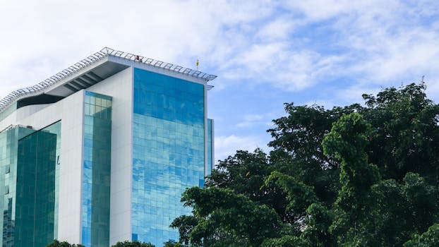 Pudim de Leite Condensado